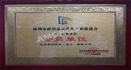 Warme Feiern unter den ersten Mitgliedern der Shenzhen B2B Display System Industry Association
